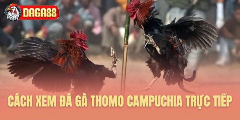 Hướng dẫn theo dõi trận đấu trực tuyến Hướng dẫn theo dõi trận đấu trực tuyến