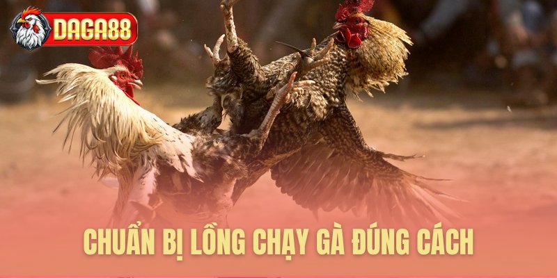 Chuẩn bị lồng chạy gà đúng chuẩn