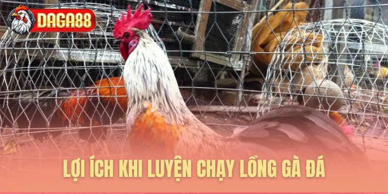 Những lợi ích tuyệt vời của chạy lồng