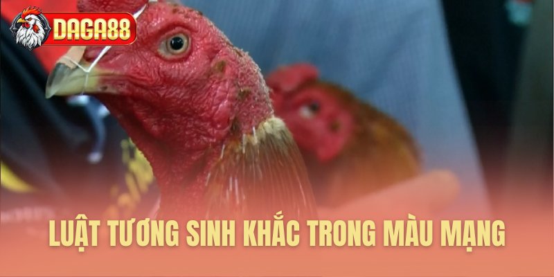Phân tích ngũ hành sinh khắc màu mạng