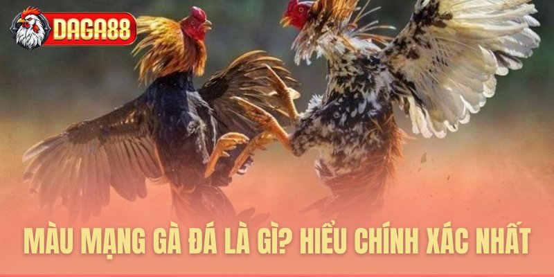 Hiểu đúng bản chất màu mạng chiến kê