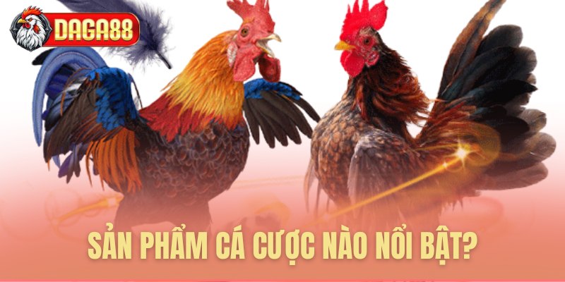 Sản phẩm cá cược nào nổi bật?